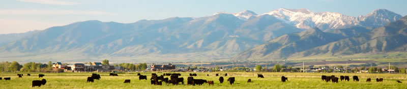 Montana Investment Advisors - Gallatin valley Montana